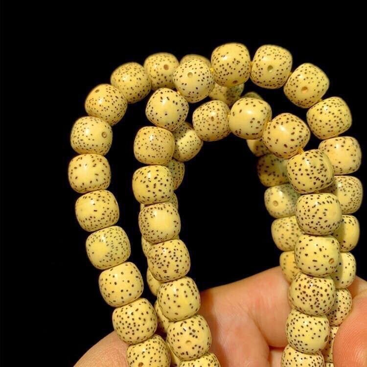 海南  星月菩提 正月 老料 菩提