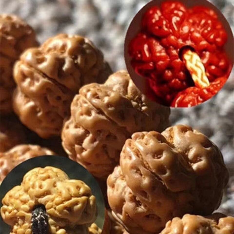 原籽小金刚菩提子手串108颗蜂窝原梅花桩双盘龙纹树神佛珠花王