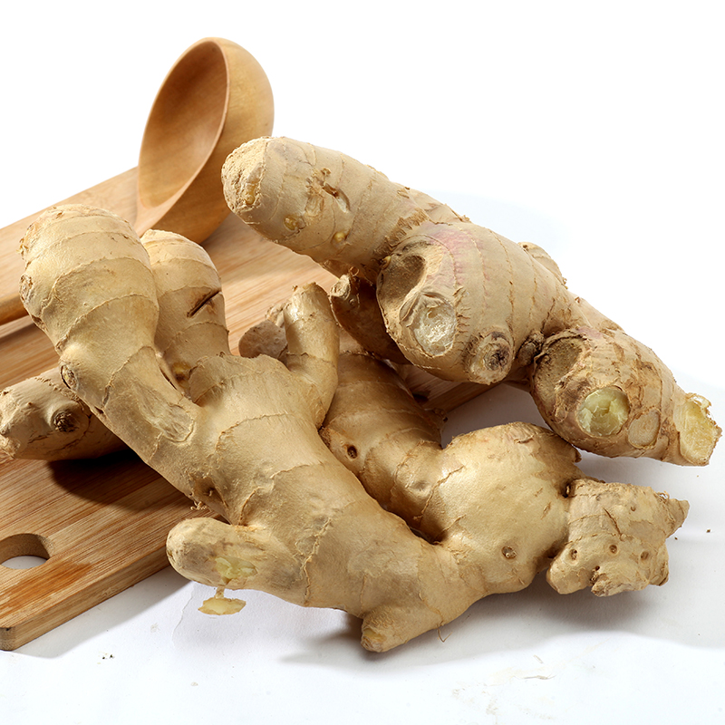 山东优质大肉姜 新鲜精选农家自种大黄姜5斤包邮老姜现挖大块生姜