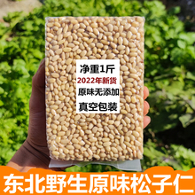 新货东北松子仁500g袋装熟松仁生松子仁原味坚果零食散装包邮