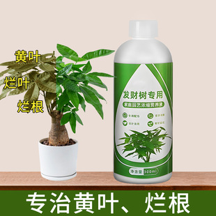 八个老头发财树营养液家用养花卉绿植水培通用型植物液体肥料