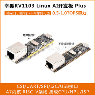 瑞芯微RV1103 Luckfox Pico Plus开发板 带网口 微型Linux