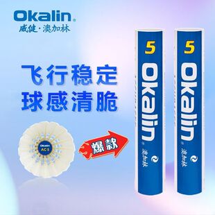 【四桶装】澳加林AC5耐打威健AC5比赛专业飞行稳定训练羽毛球
