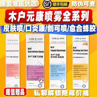 康皮肤喷雾口腔抗菌剂喷剂真菌愈合蜂胶创可喷消毒液口炎康 木户元