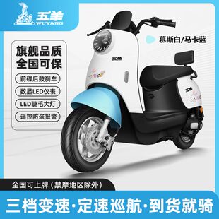 五羊新款小龟王电动车女士电瓶车72V高速长续航锂电成人电动摩托