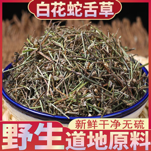 野生白花蛇舌草半枝莲中药材500克铁树叶 新鲜百花蛇舌草水茶草药
