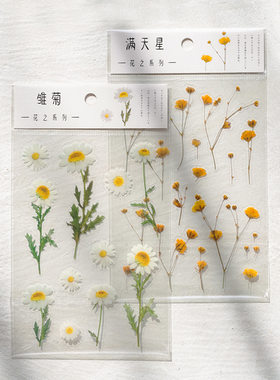 小清新植物花卉贴纸diy相册制作