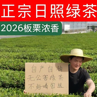 日照绿茶板栗香炒青绿茶春茶新茶