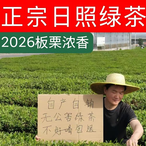 日照绿茶板栗香炒青绿茶春茶新茶