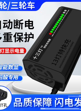 电动车电瓶充电器48V12AH60v20ah72可适用于台铃爱玛雅迪电车通用