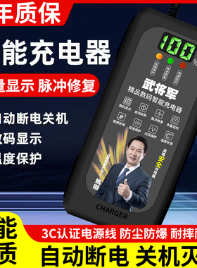 数显自动断电电动车电瓶车充电器48V60V72V20AH两轮三轮电车通用