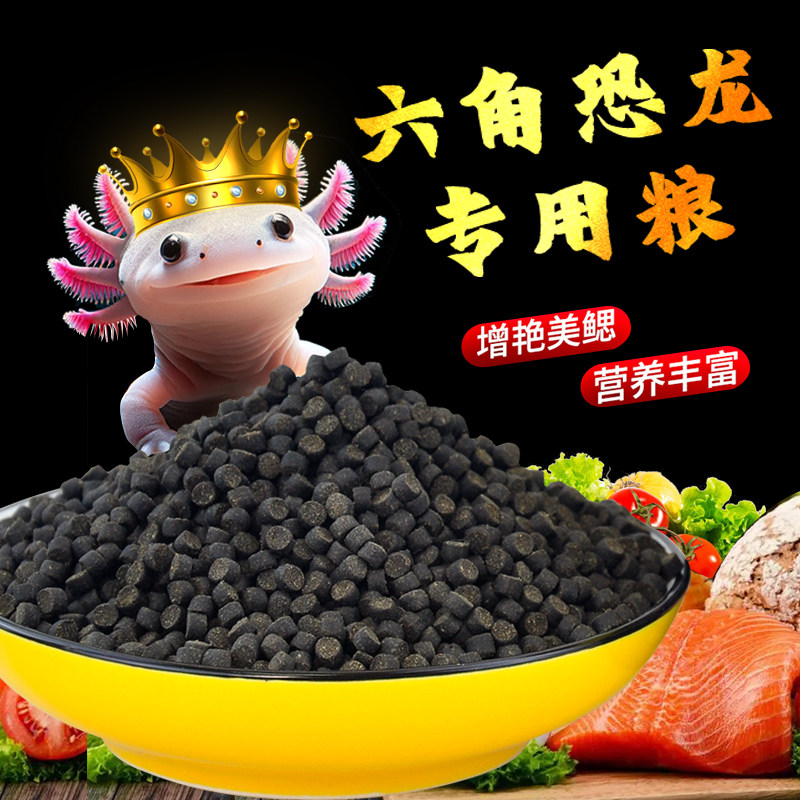 蝾螈六角恐龙鱼饲料六角龙高蛋白方下沉底型鱼食粮饲料宠物专用,宠物/宠物食品及用品,观赏鱼饲料,淘宝优惠券,粉丝福利购,淘宝优惠卷