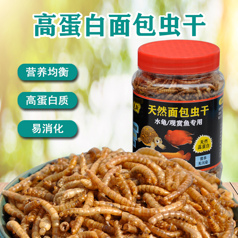 草龟面包虾干观赏鱼仓鼠通用