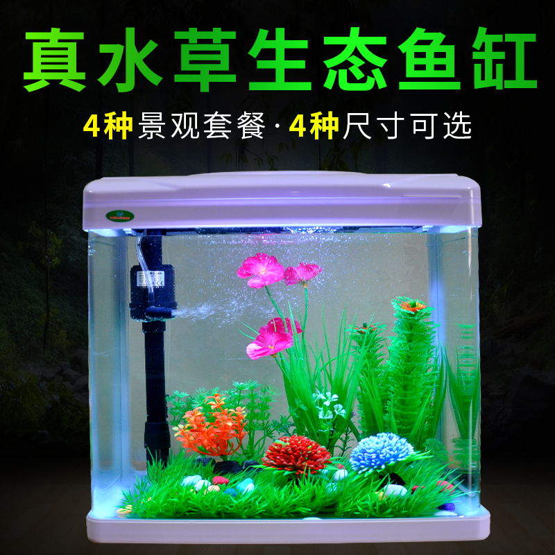真水草造景閩江小型魚缸水族箱玻璃生態桌面客廳懶人金魚缸免換水