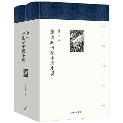 重读二十20世纪中国小说 许子东著百年中国小说  百年中国小说 百年中国故事 许子东小说课的镇箱之作