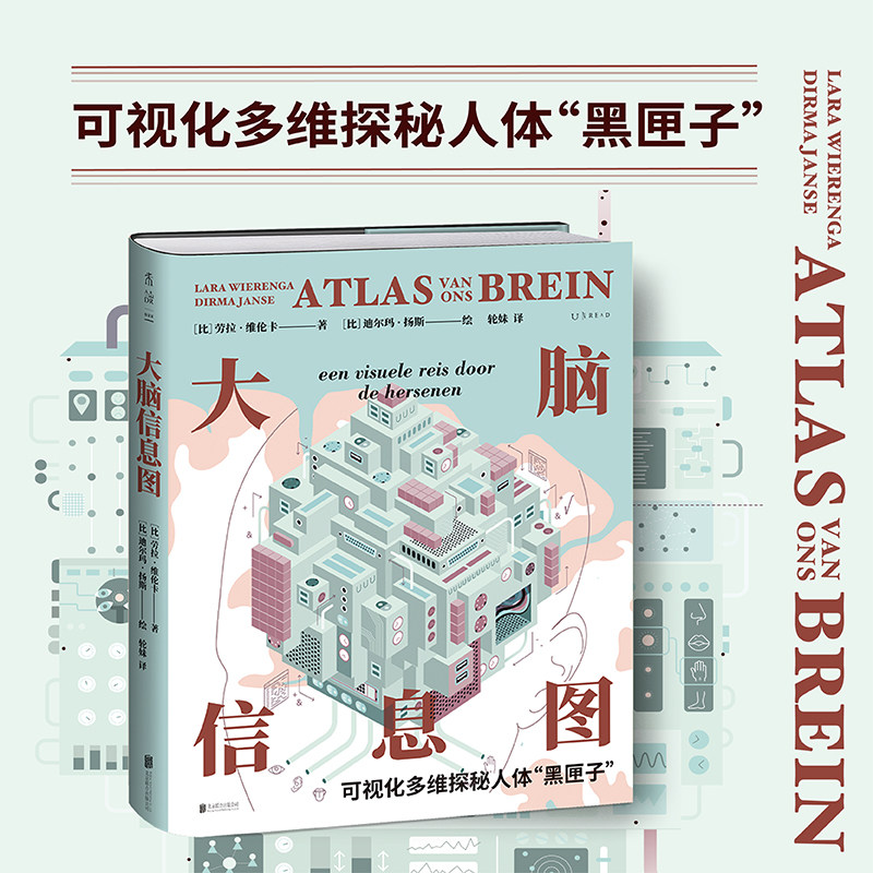 大脑信息图劳拉·维伦卡