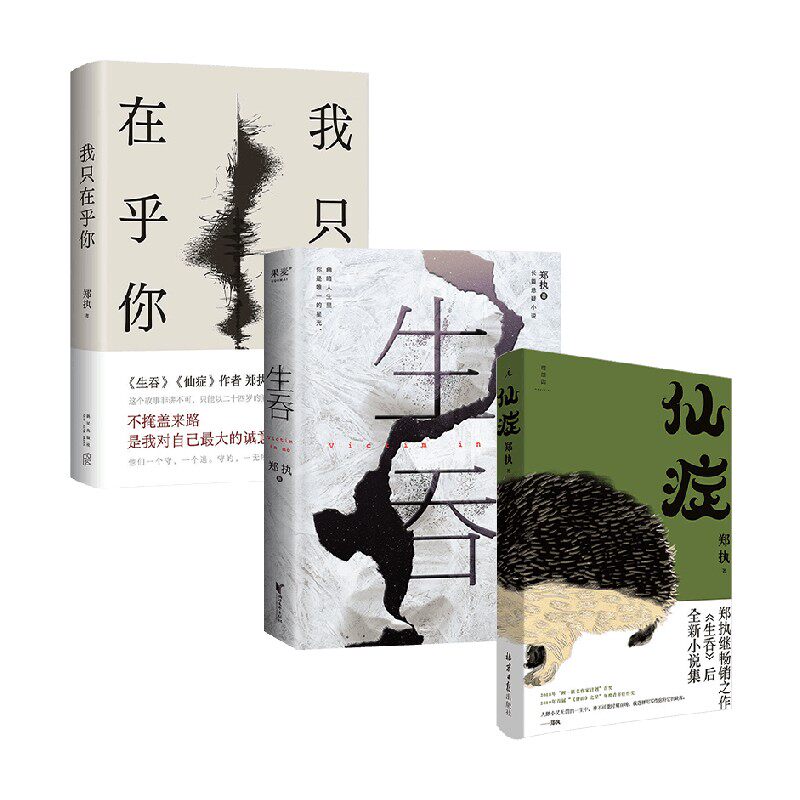 我只在乎你+仙症+生吞 郑执 著 小说