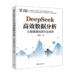 DeepSeek高效数据分析 从数据清洗到行业案例 王国平 著 计算机与互联网