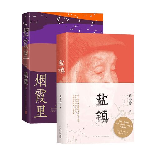 烟霞里+盐镇 套装2册 魏微 易小荷 著 文学