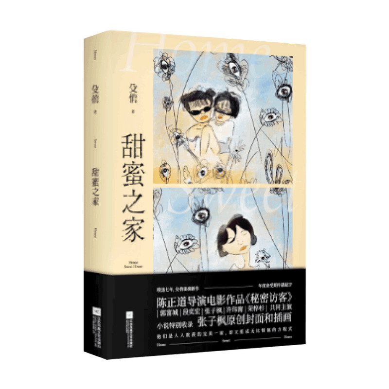 殳俏著 陈正道导演电影作品秘密访客非同名小说 张子枫原创封面和插画