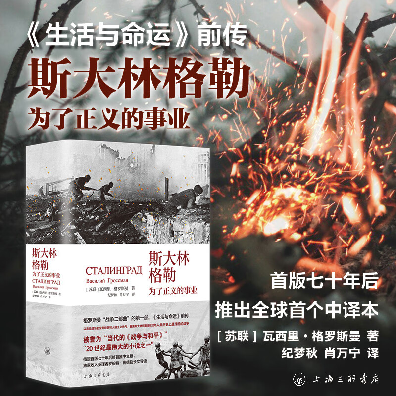 斯大林格勒 为了正义的事业  生活与命运前传