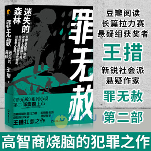 迷失 王措著 犯罪之作一部真正 罪无赦 森林 一部高智商烧脑 国产社会派悬疑小说 侦探推理小说书籍