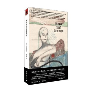 黑暗中我们能走多高 永松红杉 著 小说