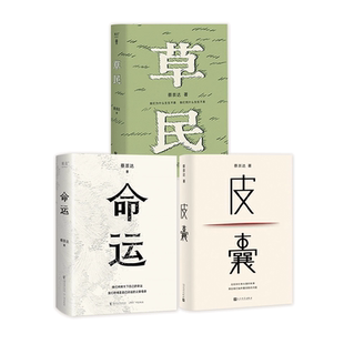 蔡崇达作品合集 命运 皮囊 草民  故乡三部曲  城市漂泊人的情感共鸣  小说