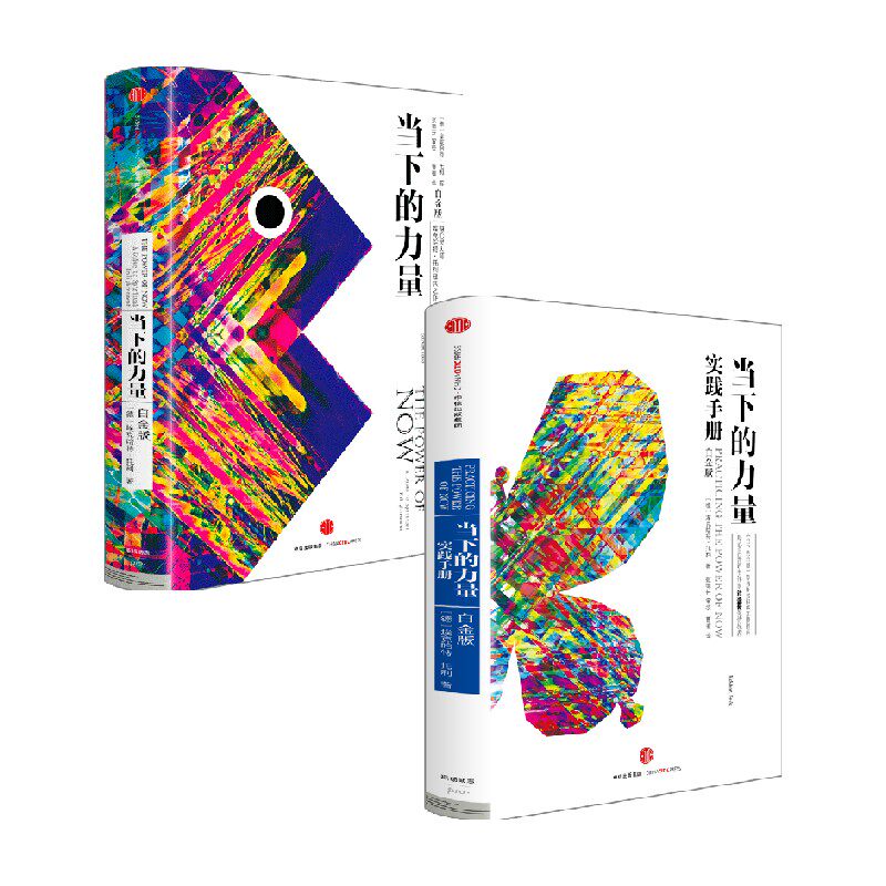 当下的力量 白金版 +当下的力量实践手册 白金版 埃克哈特·托利 著 经济