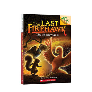 Firehawk 英文原版 The 阴影降落 章节书 8岁 分级阅读 桥梁书 火鹰传奇 Shadowlands Last