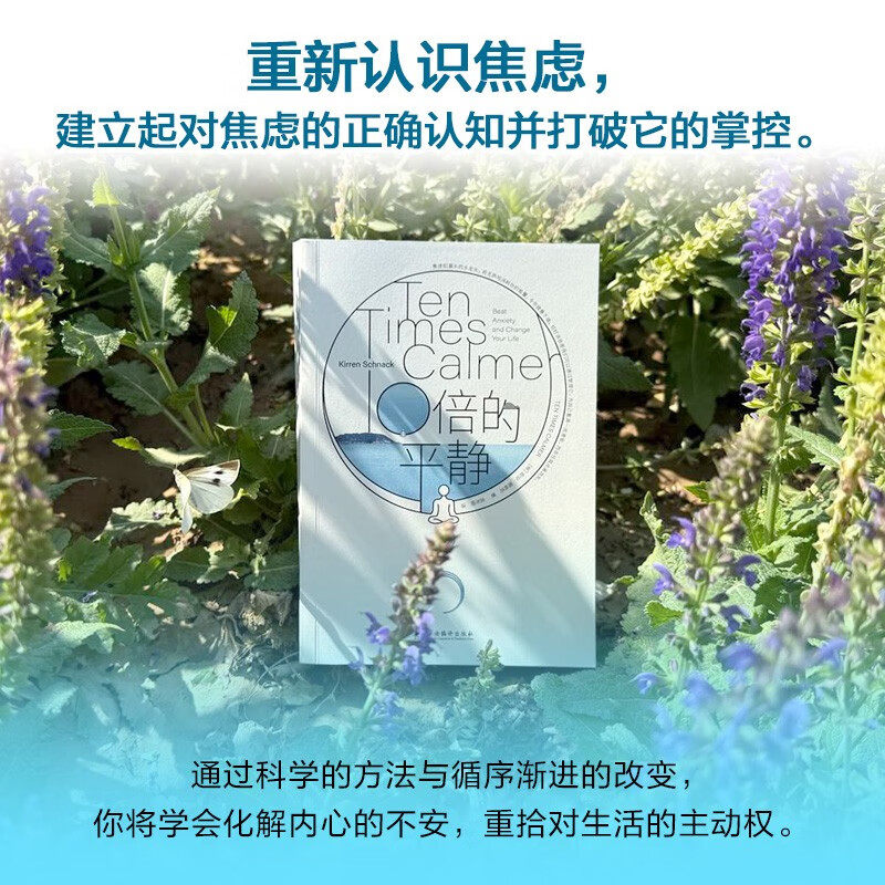 10倍的平静 奇伦·施纳克 著 心理学