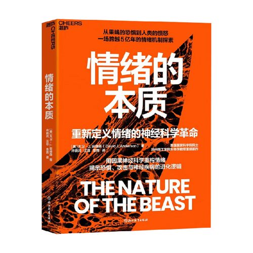 情绪的本质大卫J安德森