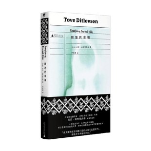邪恶的幸福 托芙·迪特莱弗森 著 小说