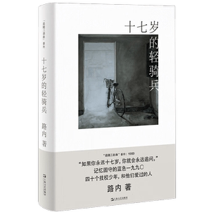 十七岁的轻骑兵 路内追随系列 路内 著 小说