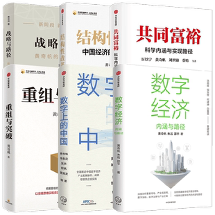 重组与突破+结构性改革+战略与路径+共同富裕+数字上的中国+数字经济 黄奇帆等 著 经济