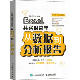 Excel其实很简单 从数据到分析报告 神龙工作室 编 操作系统