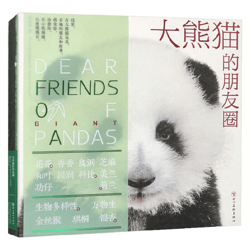 大熊猫的朋友圈周孟棋