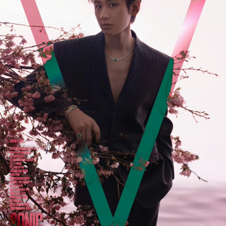 v 中文版 成毅A/B期刊杂志 2026年5月封面 成毅图片