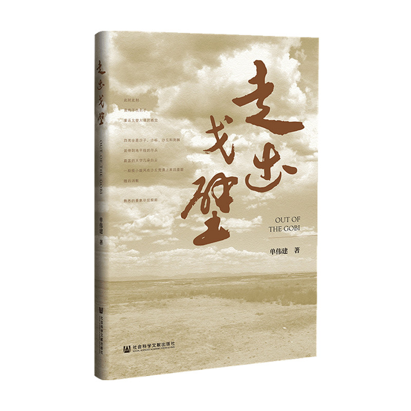 走出戈壁 单伟建 著 文学高性价比高么？