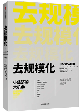 去规模化 小经济的大机会 赫曼特塔内佳 著 商业逻辑 商业管理 去规模化思维方式
