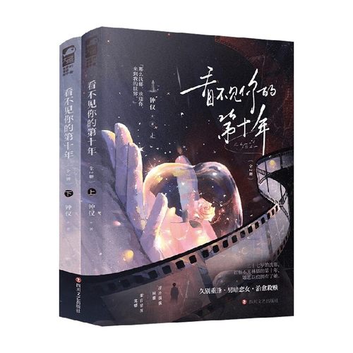 看不见你的第十年青春文学