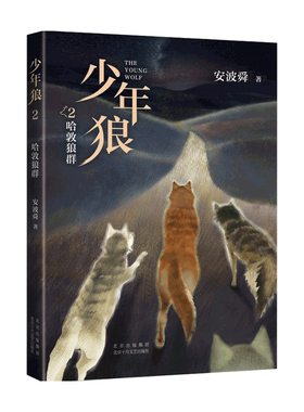 少年狼 2 哈敦家族 安波舜 著