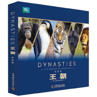 BBC王朝 少儿科普版 5册 6-12岁 丽莎·里根 著 儿童人文百科经典 温情科普读物 博思星球 科普百科