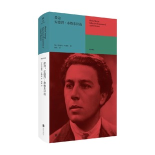 著 盈边 安德烈·布勒东 布勒东诗选 外国诗歌 安德烈