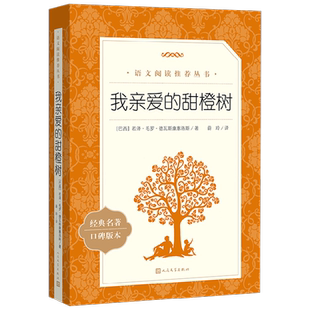 我亲爱的甜橙树 若泽·毛罗·德瓦斯康塞洛斯 著 小说