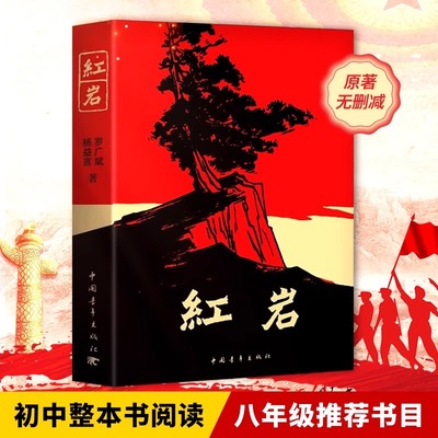 红岩中国一般当代小说