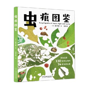 虫痕图鉴 新开孝 著 科普