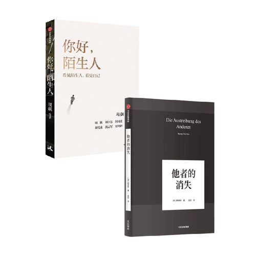 你好陌生人+他者的消失