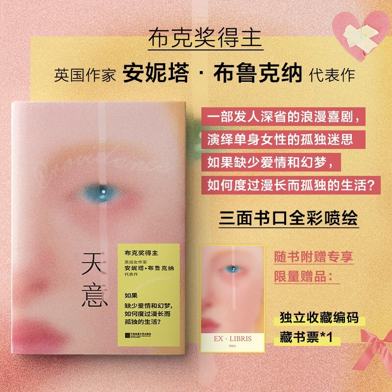 天意 安妮塔·布鲁克纳 著 外国文学