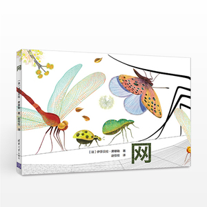 绚丽科普: 网 伊莎贝拉·席穆勒 法国艺术科普启蒙圣品 精装童书绘本 清华大学出版社